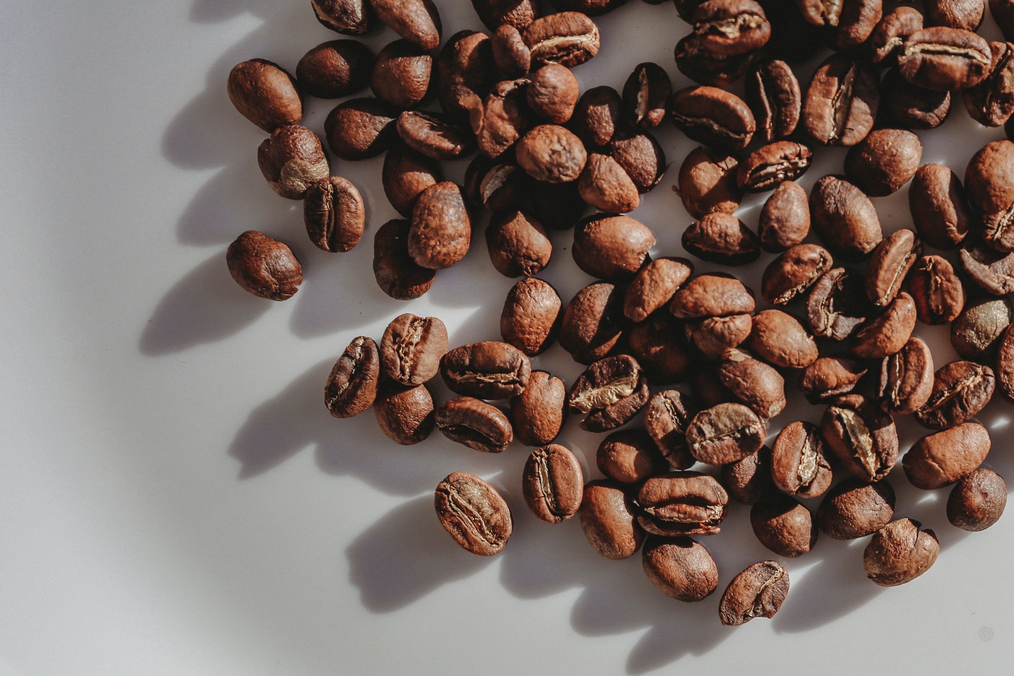 Brown Coffee Beans on White Table